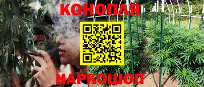 эйфоретик Краснодар